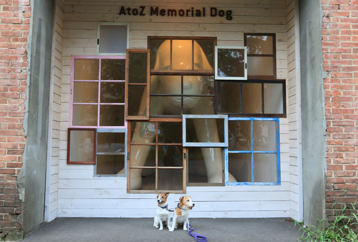 0813-2(13)A-Z dog
