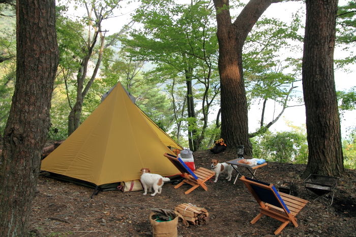 キャンプ (1)