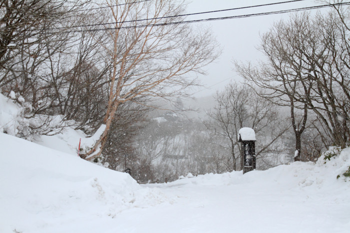 nasu snow2 (1)